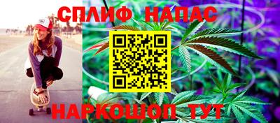 гидра Малгобек