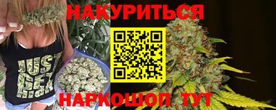 гидра Малгобек