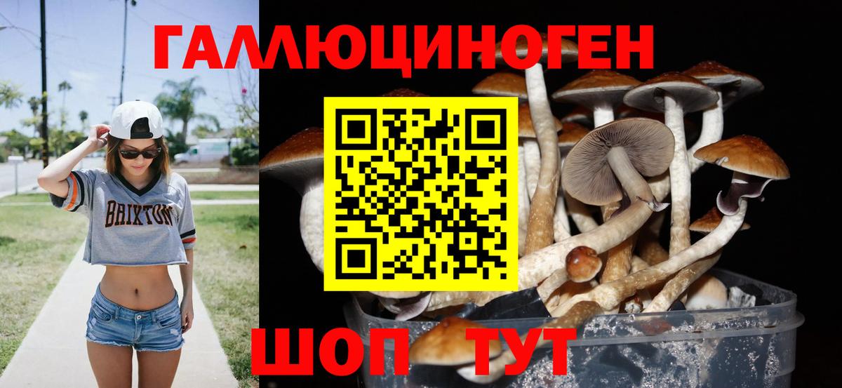 Шебекино  Псилоцибиновые грибы Cubensis  Вход с VPN 